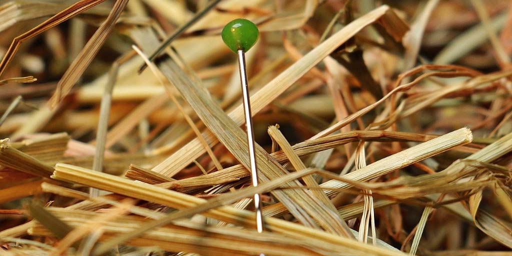 green pin needle in a haystack